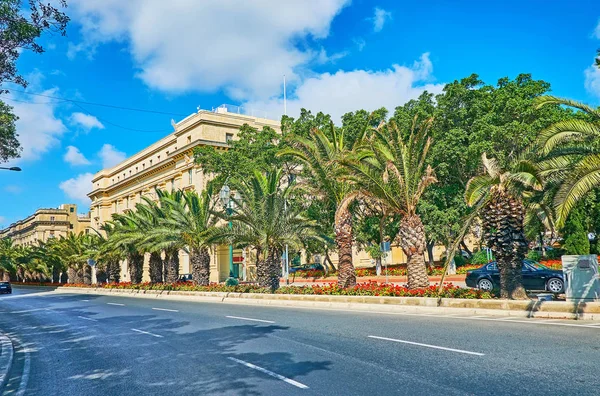 Promenade Long Avenue Ombragée Sainte Anne Décorée Palmiers Verdoyants Parterres — Photo