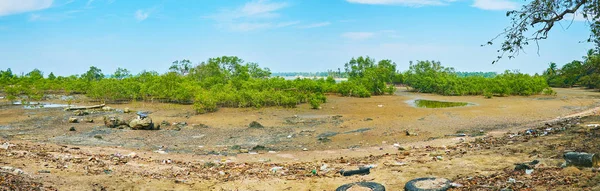 Ngwesaung 海岸线沼泽盐渍土和垃圾堆的低潮中红树森林全景 — 图库照片