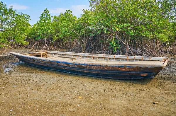 Old Wooden Raft Ferry Mangrove Shrubs Uncovered Thickets Aerial Roots — Stock Photo, Image