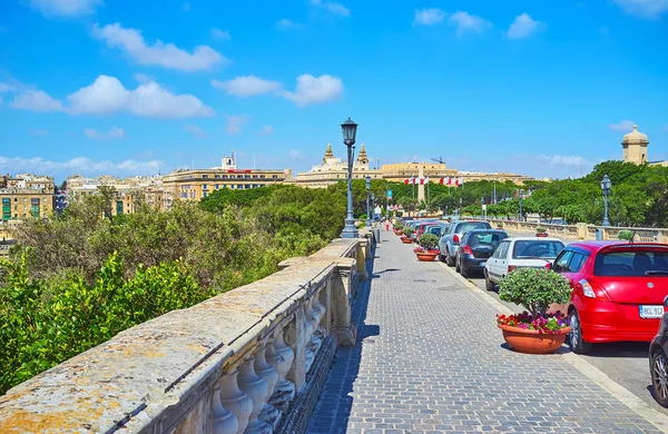 Floriana Malta Červen 2018 Girolamo Cassar Silnice Pouliční Staromódní Rostliny — Stock fotografie