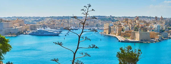 Middeleeuwse Grand Harbour Met Birgu Fort Angelo Verdeeld Met Fort — Stockfoto