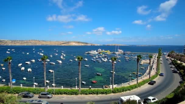 Çok Sayıda Balıkçı Tekneleri Harbour Uzun Palmiye Ağaçları Malta Arkasında — Stok video