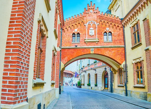 Krakow Polen Juni 2018 Historische Pijarska Straat Bekend Haar Bouwwerken — Stockfoto