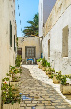Beyaz Saray duvarları olan dar backstreet tencere, Mahdia, Tunisia sayısız bitkiler ile süslüdür.