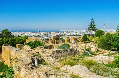Yeşil, Mimarlık ve arka planda, Tunus kıyı şeridi bakan mükemmel bakış açıları, Byrsa Hill, antik Kartaca Harabeleri için ünlü sahiptir.