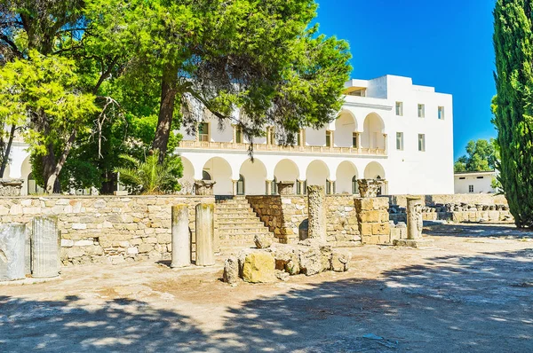 Bâtiment Blanc Musée National Carthage Derrière Les Palmiers Luxuriants Les — Photo