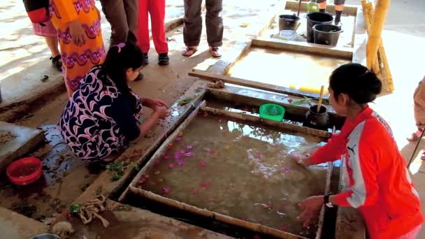 Pindaya Myanmar Febrero 2018 Producción Papel Shan Tradicional Los Artesanos — Vídeos de Stock