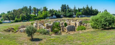Antik Pön kalıntıları, Kartaca, Tunus içeren yeşil arkeolojik park ile Panorama.