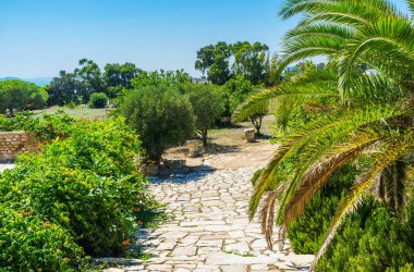 Walk in beautiful green gardens of antique Roman villas archaeological site, Carthage, Tunisia. clipart