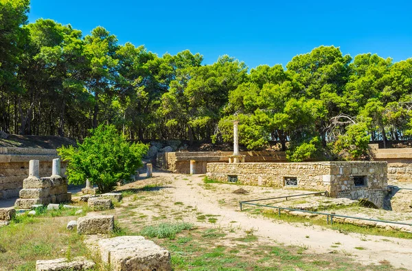 Den Antika Amfiteatern Centrala Archaeologicval Landmärkena Kartago Tunisien — Stockfoto