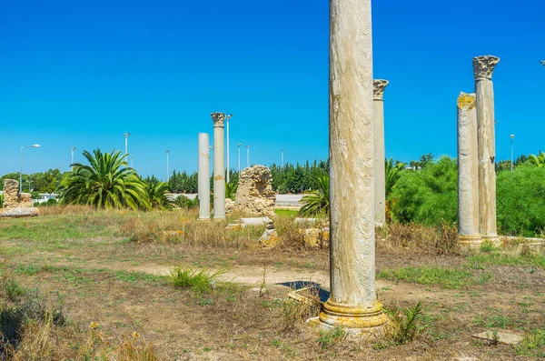 Las Columnas Del Templo Antiguo Entre Exuberante Vegetación Del Jardín — Foto de Stock