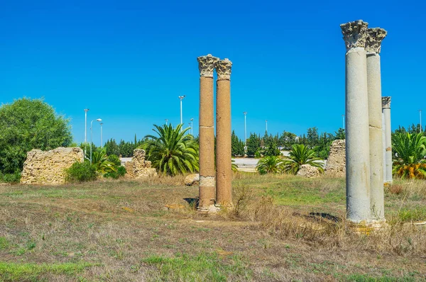 Colonnes Minces Préservées Sur Pelouse Sont Les Parties Ancien Temple — Photo