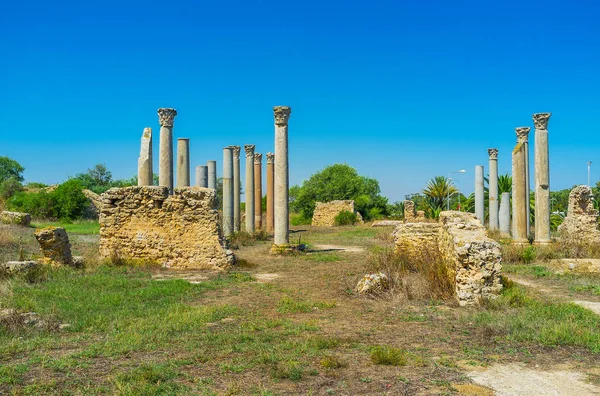 Археологическое Место Древнего Карфагена Высокими Колоннами Разрушенного Храма Тунис — стоковое фото
