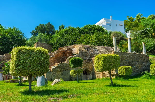 Kartaca Tunus Sit Alanı Antik Roma Villa Çevresinde Süs Bahçe — Stok fotoğraf