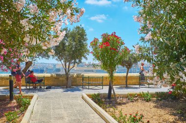 Valletta, Malta - 17 Haziran 2018: Çiçek açan orman gülleri alt Barrakka bahçeleri 17 Haziran'da Valletta gölge ve zarif aroma, veren süslemeleri