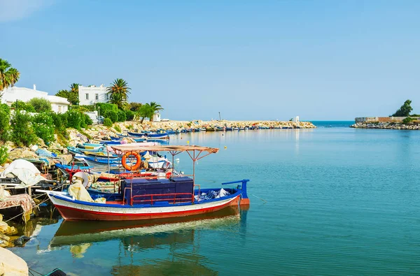 Linea Dei Colorati Pescherecci Legno Nell Antico Porto Punico Cartagine — Foto Stock