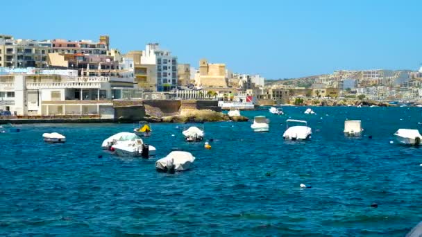 Bugibba Malta June 2018 Fortøyde Båtene Fiskehavnen Ved Paul Bay – stockvideo