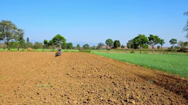 缅甸嗡嗡声 2018年2月20日 新犁的领域 周围的绿色植物 与农民的看法 与分蘖 在2月20日在嗡嗡 — 图库视频影像