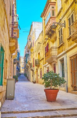 Yaşam mahalle şehrin sessiz sokakları ile tencere yolun ortasında ve eski yapıların duvarları, Birgu (Vittoriosa), Malta boyunca bitkilerde dekore.