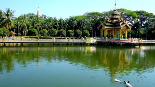 Pequeño Santuario Budista Lago Del Parque Theingottara Con Largo Puente — Vídeos de Stock