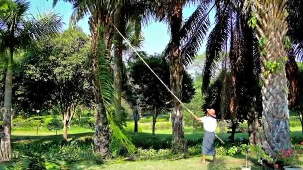 Yangon Myanmar Februar 2018 Der Arbeiter Des Gottara Parks Schneidet — Stockvideo