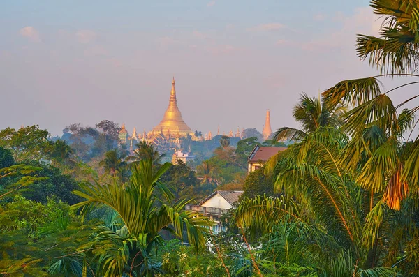 Stupa Złoty Świątynia Shwedagon Zedi Daw Rano Lekka Mgła Bujnej — Zdjęcie stockowe