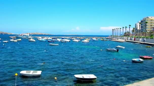 Buġibba Malta Juni 2018 Den Lata Promenaden Längs Hamnen Med — Stockvideo