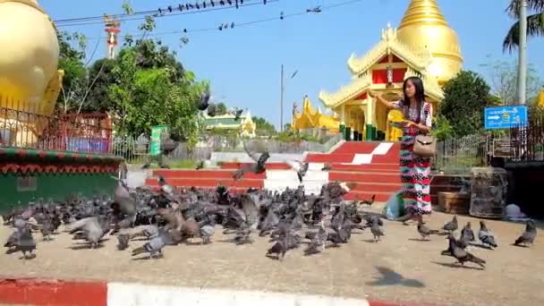 日にヤンゴンで黄金の仏舎利塔の景色を背景にマハ Wizaya Mahavijaya 寺で鳩の群れをフィード ヤンゴン ミャンマー 2018 仏教の信者 — ストック動画