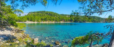 Dallar ile güzel Kuzey Liman Panoraması eski, sahilde, Phaselis, Tekirova, Türkiye'nin büyüyen pines.