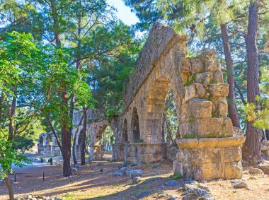 Antik Roma su kemeri, iğne yapraklı orman, Phaselis, Türkiye'nin yeşil arasında gizli, taş kalıntıları.
