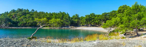 Panorama Van Pittoreske Haven Van Slag Met Dennenbos Langs Kust — Stockfoto