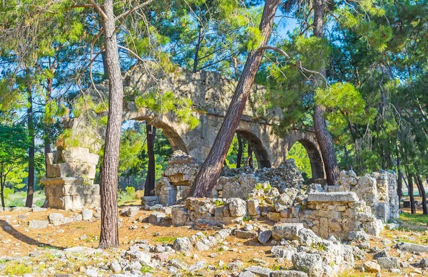 Schaduwrijke Bewandelen Van Phaselis Archeologische Site Bedekt Met Naaldhout Bos — Stockfoto