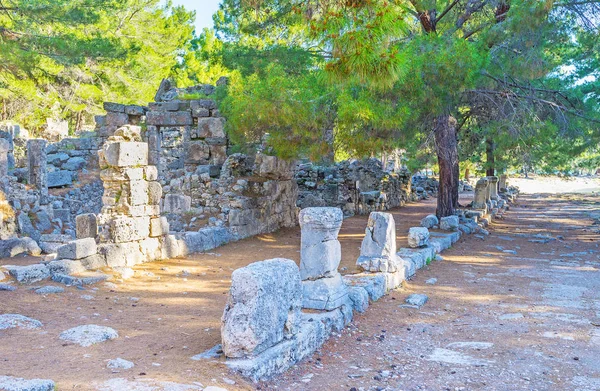 Phaselis 考古遗址的郁郁葱葱的松树之间的古董遗址 坐落在现代 Tekirova 旁边的凯梅尔度假村 土耳其 — 图库照片