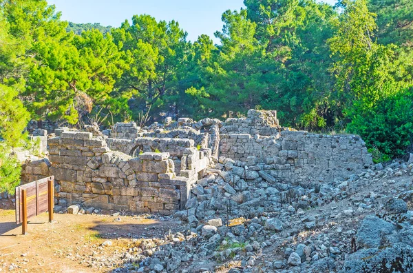 古色古香的城市的废墟 位于深针叶林在三个海湾之间 Phaselis Tekirova 土耳其 — 图库照片