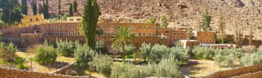 St Catherine Manastırı duvarlar kayalık çöl gorge, Sinai, Mısır, Zeytin Bahçesi Panoraması.