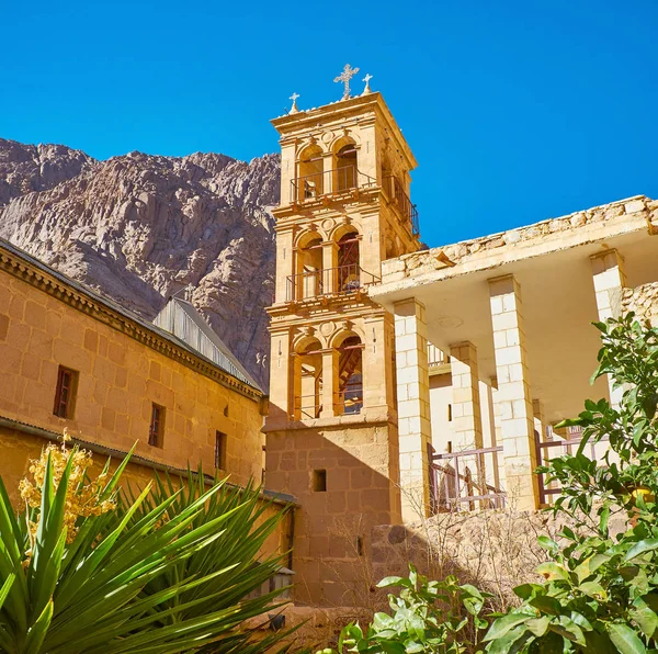 Monastero Santa Caterina Monte Sinai Calpestato Dio Vanta Campanile Pietra — Foto Stock