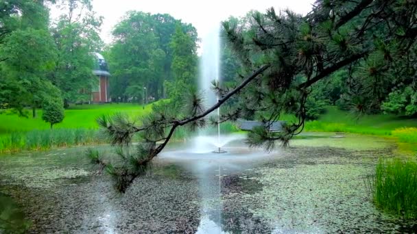 Onun Iğneler Czestochowa Polonya Üzerinde Parlak Yağmur Damlaları Fountain Dan — Stok video