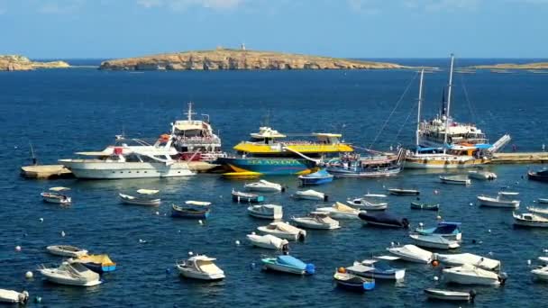 Buġibba Malta Juni 2018 Nöje Båtar Erbjudandet Turist Utflykter Längs — Stockvideo