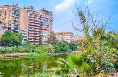 Nil Nehri ile akşam yürüyüşleri, Kahire, Mısır için hoş koşulları yapan yeşillikler, ekilir