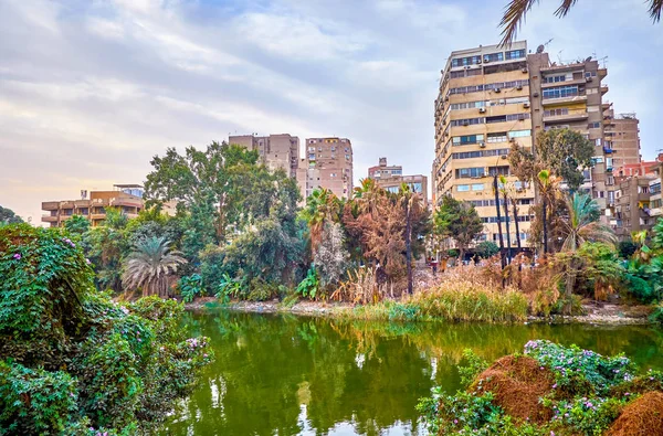 Bairro Residencial Ilha Rawdah Roda Com Edifícios Decrépitos Cairo Egito — Fotografia de Stock