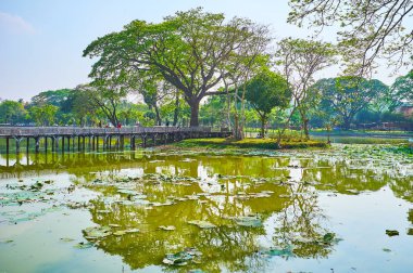 Doğal htanaung (akasya leucophloea) ağacı ve yansıyan su, Yangon, Myanmar eski ahşap köprü manzaralı Kandawgyi Gölü kıyısında sakin ol.