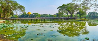 Yayılan ağaç ve eski ahşap köprü, Yangon, Myanmar yansıtan Kandawgyi park, onun göl etrafında yürüyüş zevk.