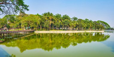 Gür yeşilliklerle - uzun boylu avuç içi ve Kandawgyi Gölü, Yangon, Myanmar banka boyunca ağaçlar streç yaymak Panoraması.