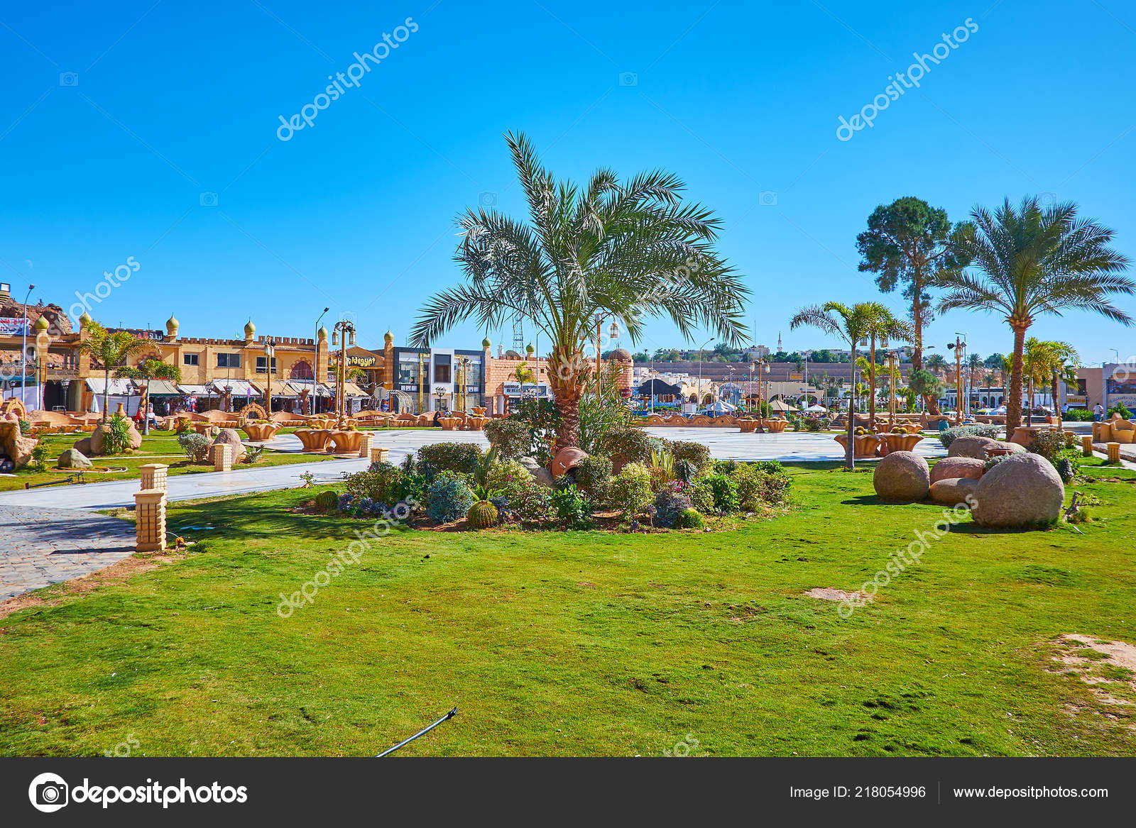埃及沙姆沙伊赫17年12月26日美丽的绿色花园有仙人掌和茂盛的棕榈花床在12月26日在沙姆沙伊赫的sahaba 广场上进行景观美化