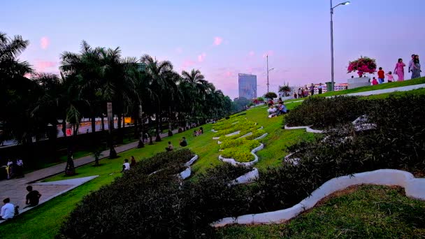 Yangon Mianmar Março 2018 Assista Céu Crepúsculo Roxo Canteiros Flores — Vídeo de Stock