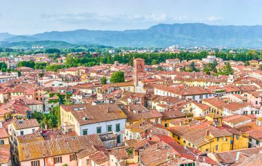 Lucca eski kasaba kırmızı kiremitli çatılar ve çan kulesi San Pietro Somaldi Kilisesi, İtalya ile üzerinde havadan görünümü