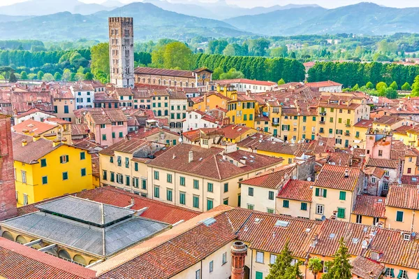 Den Vackra Medeltida Staden Lucca Bästa Sett Från Utsiktsplatsen Toppen — Stockfoto