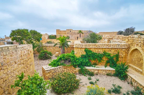 Piante Verdi Amponano Mura Medievali Rabat Cittadella Victoria Isola Gozo — Foto Stock