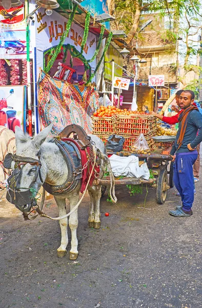 Cairo Egypt December 2017 Donkey Food Cart Farmers Market Stretching — Stock Photo, Image