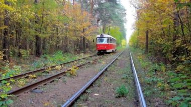 KYIV, UKRAINE - OCTOBER 21, 2018: The slow riding vintage red tram in forest corridor in Pushcha-Voditsa spa resort and old neighborhood, on October 21 in Kyiv.